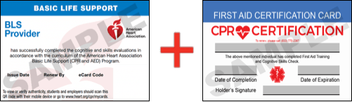 Sample American Heart Association AHA BLS CPR Card Certificaiton and First Aid Certification Card from CPR Certification Fresno