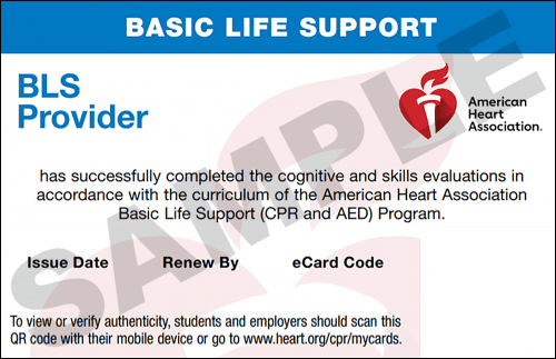 Sample American Heart Association AHA BLS CPR Card Certification from CPR Certification Fresno