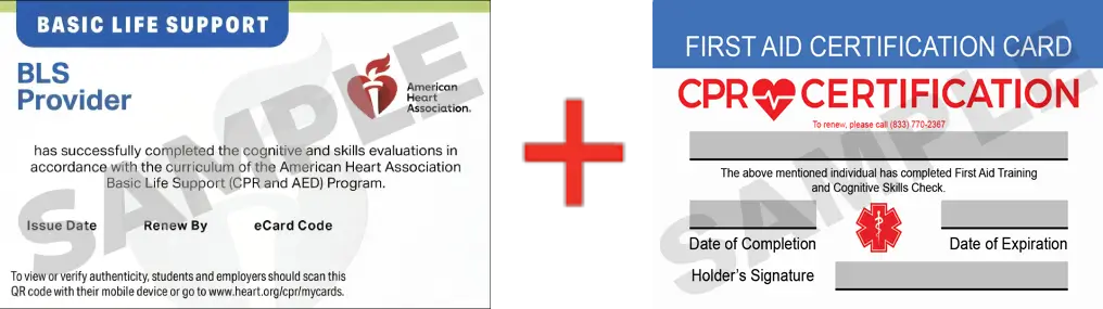 Sample American Heart Association AHA BLS CPR Card Certification and First Aid Certification Card from CPR Certification Fresno